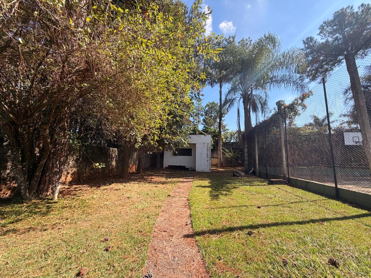 Jardim